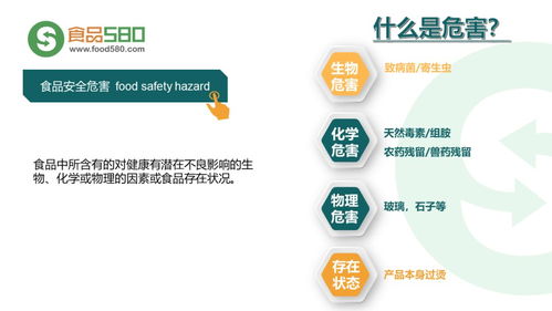 构筑餐桌安全防线 餐饮业食品安全管理体系与企业管理实践